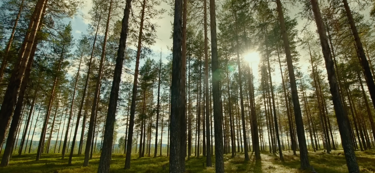 Från trailern till En dag kommer allt det här bli ditt